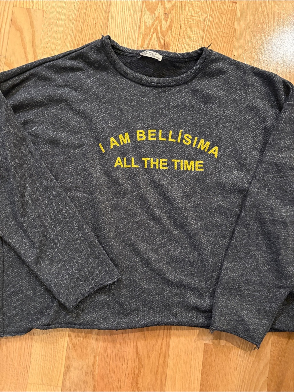 Zara Charcoal Gray Sweatshirt with Yellow Text